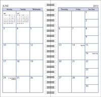 wirebound 3 x 6 planner monthly pages